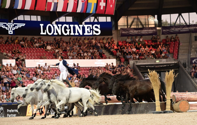 Lorenzo - Evening show